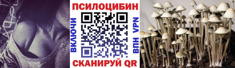 хочу наркоту  Щёлкино  Псилоцибиновые грибы Psilocybe 